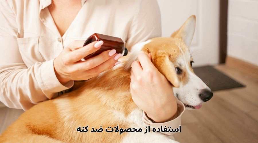 استفاده از محصولات ضد کنه برای جلوگیر از بیماری لایم 